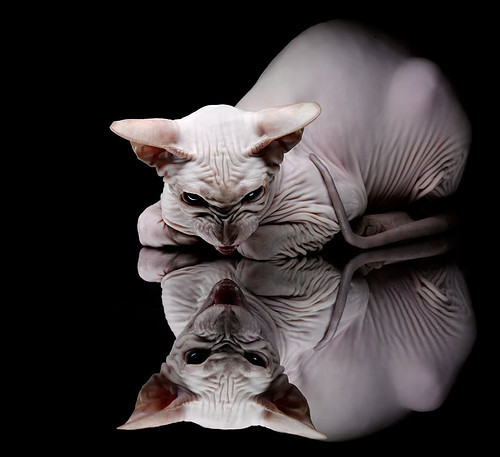 中国足球球员脚法风格分类统计，足球脚法视频教学