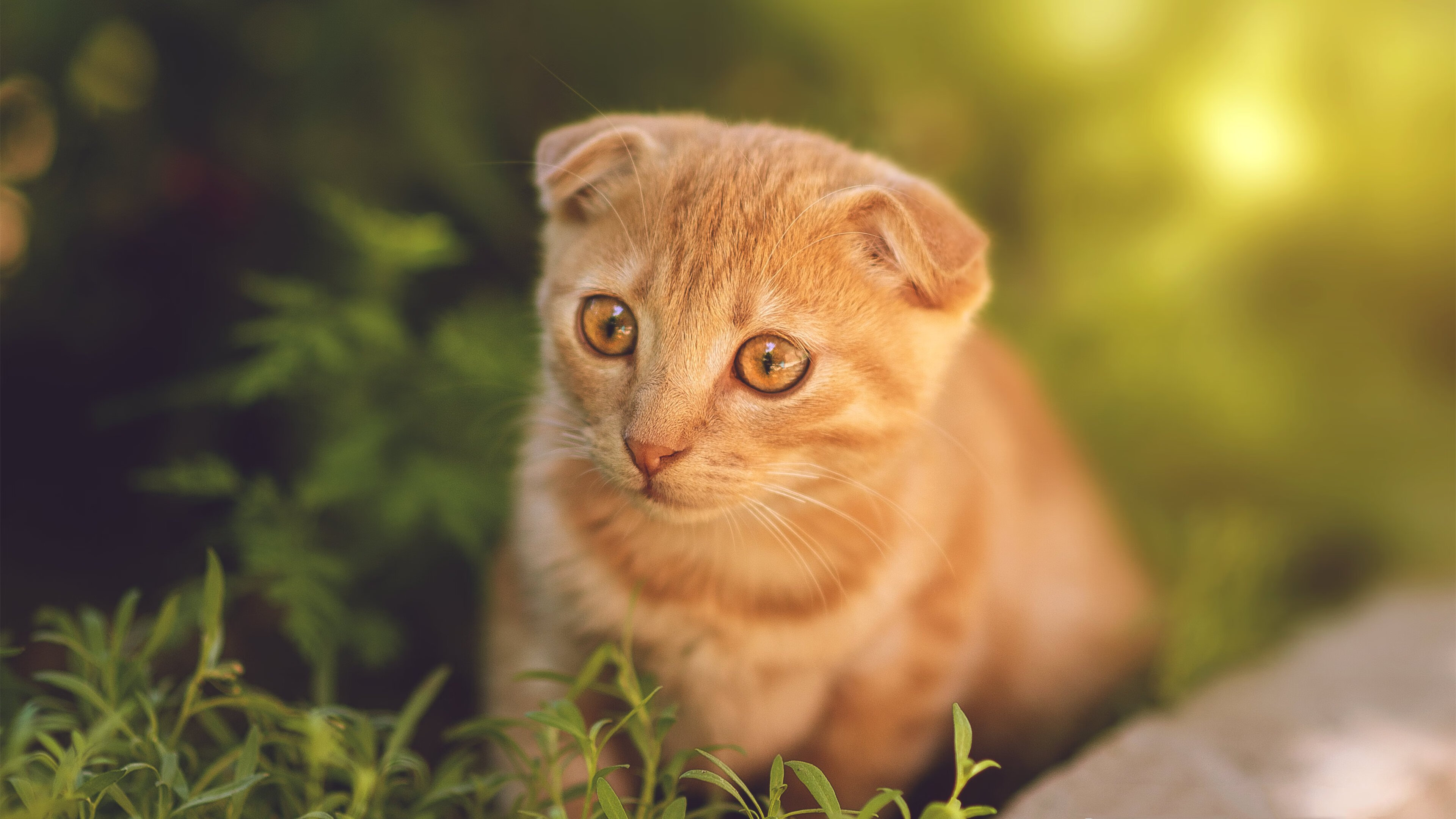 意甲球队基于战术热图分析优化反击启动区域分布策略,意式防守反击