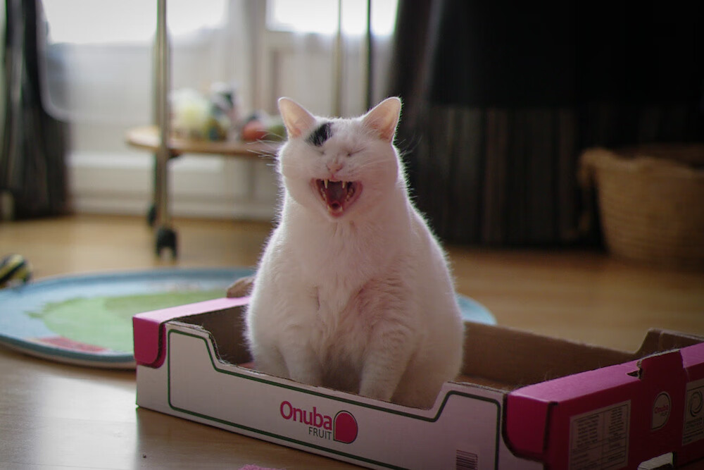 篮球运动员心理状态调节技术开发与应用,篮球运动员的心理选材