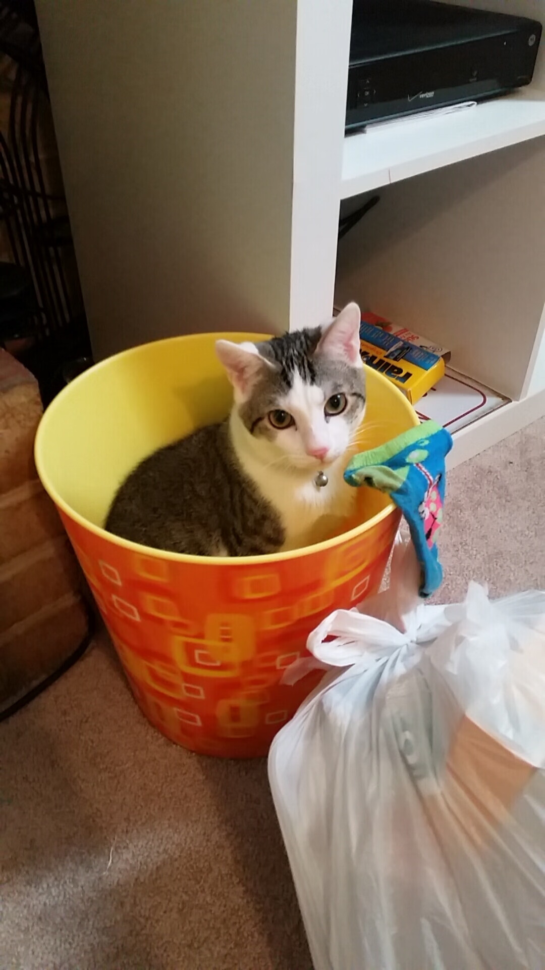 “简阳文体中心羽毛球赛:选手超高竞技状态,决战激烈”