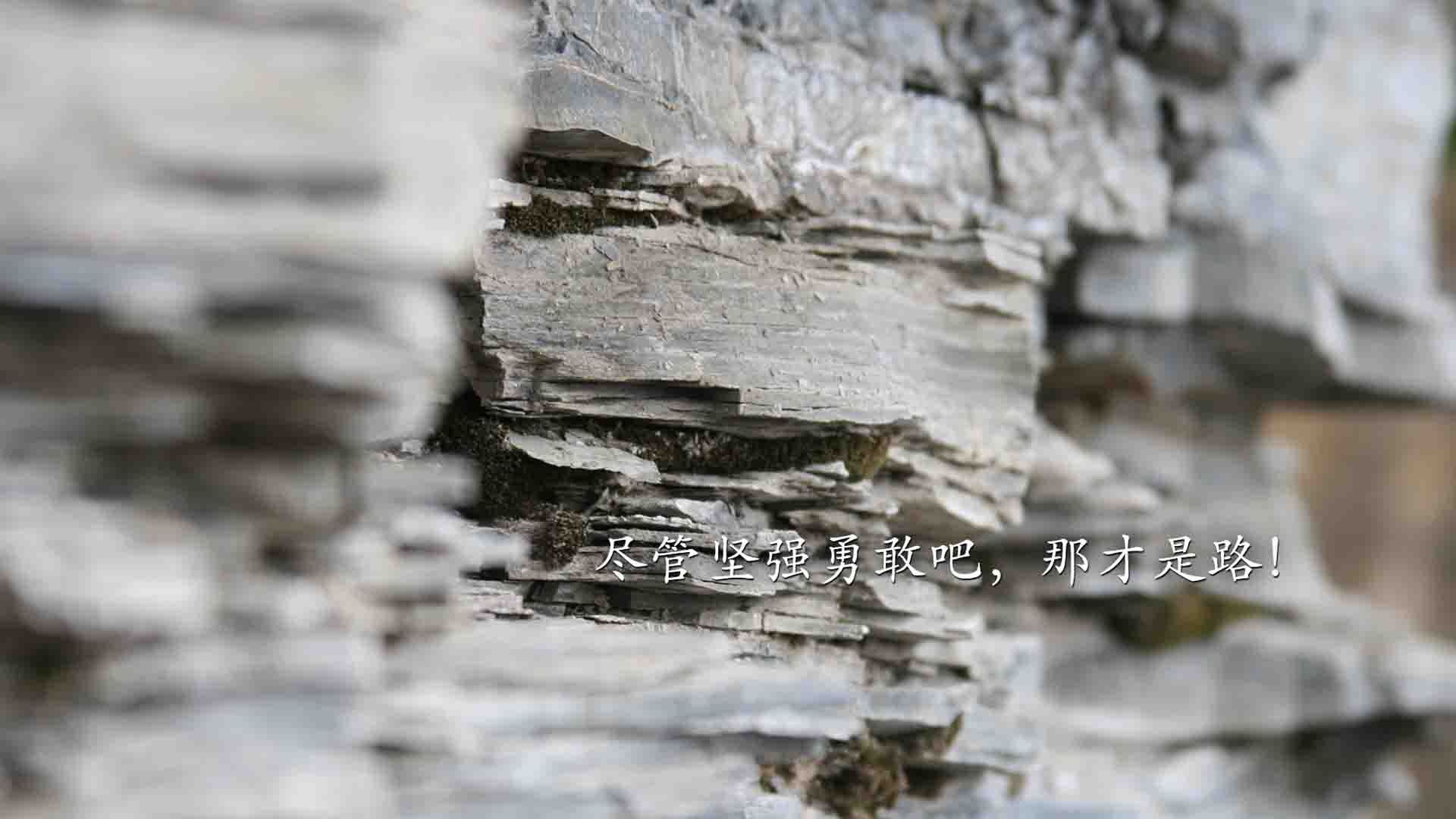 博卡目标：三年内重返南美之巅，博卡是哪个公司的