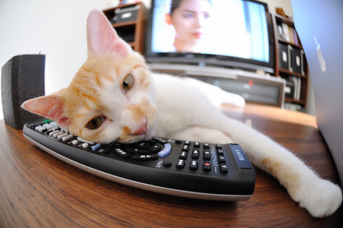 心理节奏控制能力最强的控卫观察，控制心理是什么