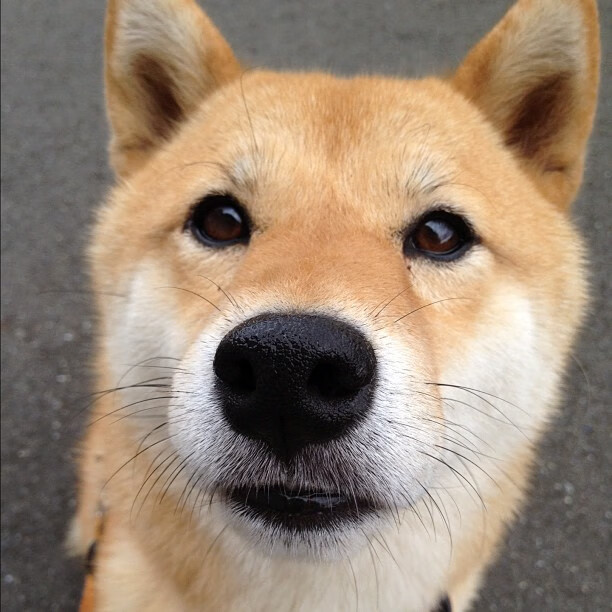 华体会手机在线-中国女足设立技术委员会助力技战术体系建设，中国女足战术特点