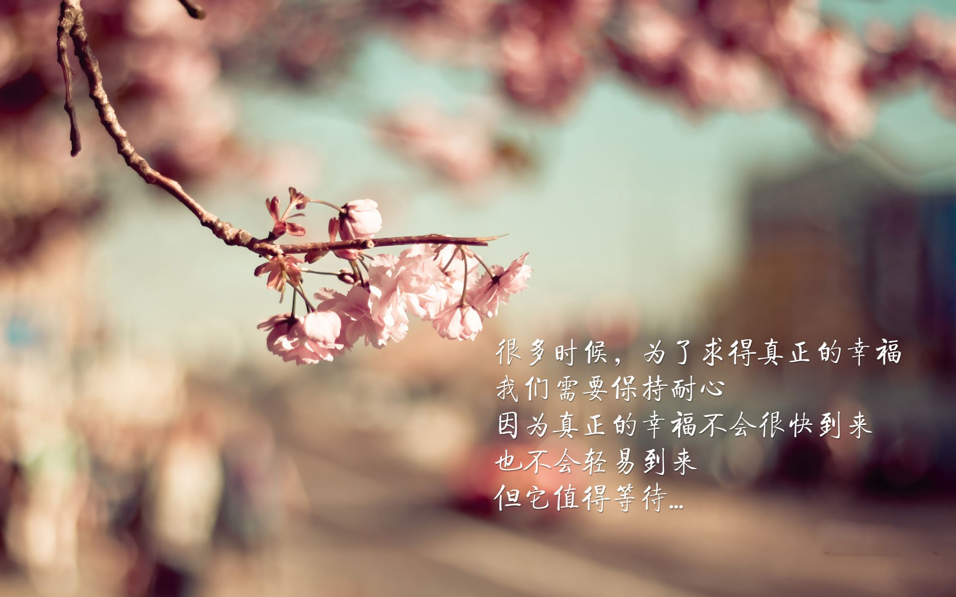 华体会网站-唐纳德·高尔的精彩进攻演绎，点亮袋鼠队全场表现，唐纳德高德纳