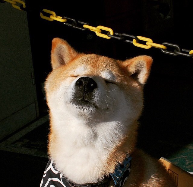 国际足球界推动裁判国际资格互认，提升执法水平，国际知名足球裁判