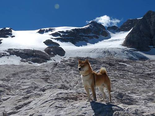 德甲激情迸发:攻势凌厉,防守坚不可摧,德甲名场面