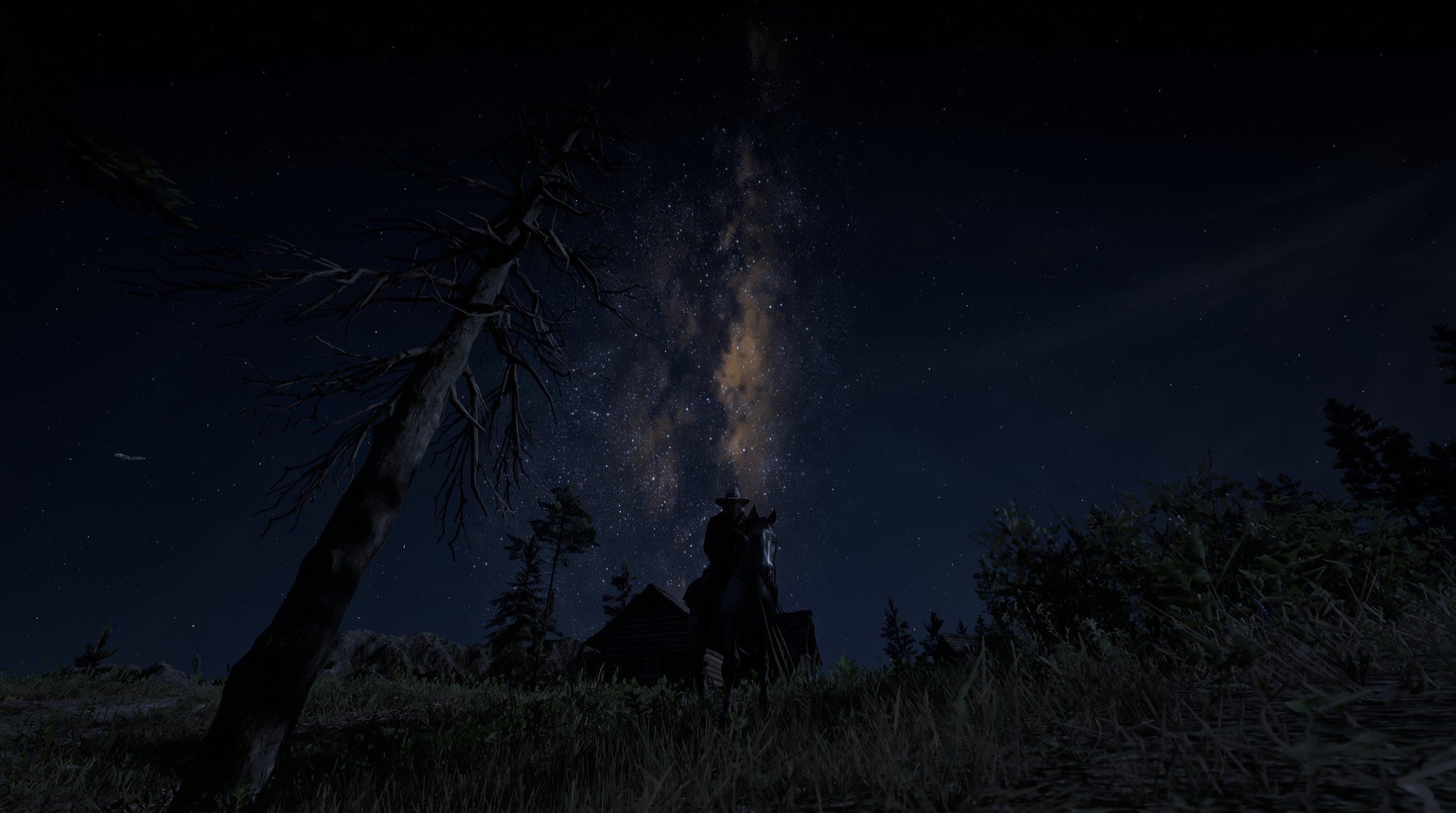 -曹缘男子3米跳板决赛展现冠军风采，3米跳板冠军女子