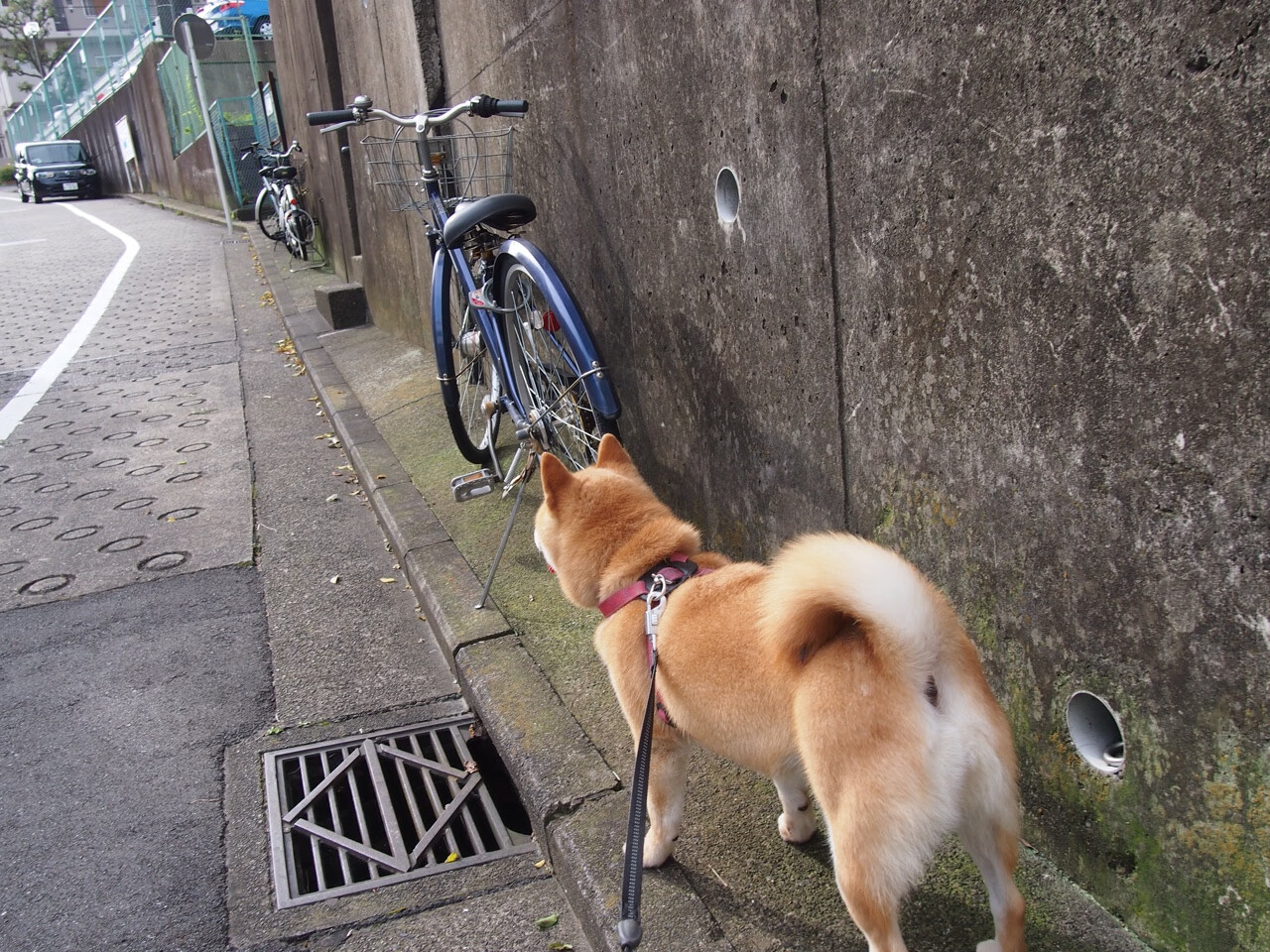 华体会登录-青年联赛表现亮眼或将成为国家队储备人才主力军，中国青年联赛