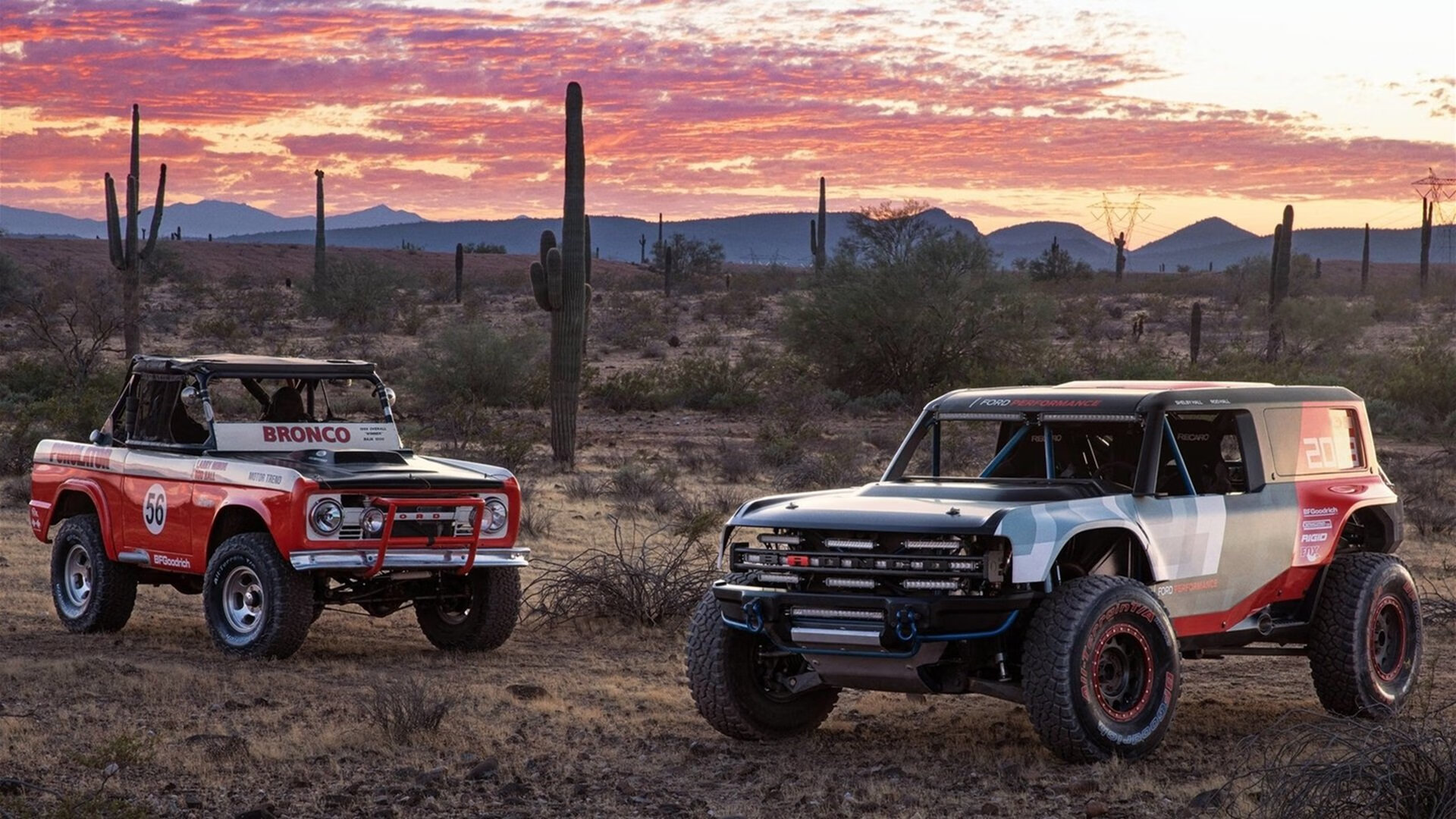 Cruz 赛场冷静领导力无可替代