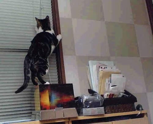 中国足球俱乐部加强对青少年球员的人文素养教育，中国青少年足球俱乐部发展情况