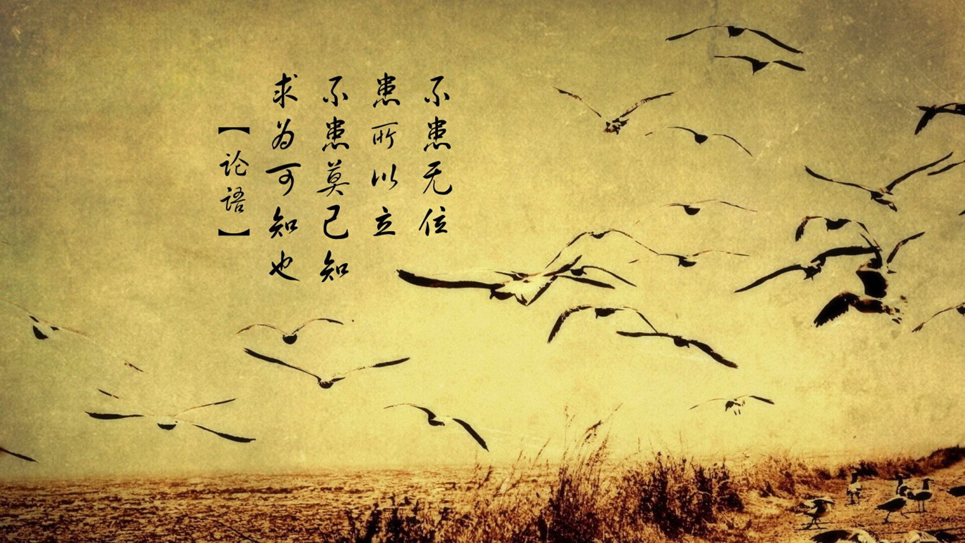 中国足球球队管理层决策透明度与决策效率研究，足球队管理模式