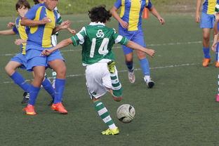 华体会登陆-五大联赛前锋类型多样化提升战术丰富度，五大联赛强队