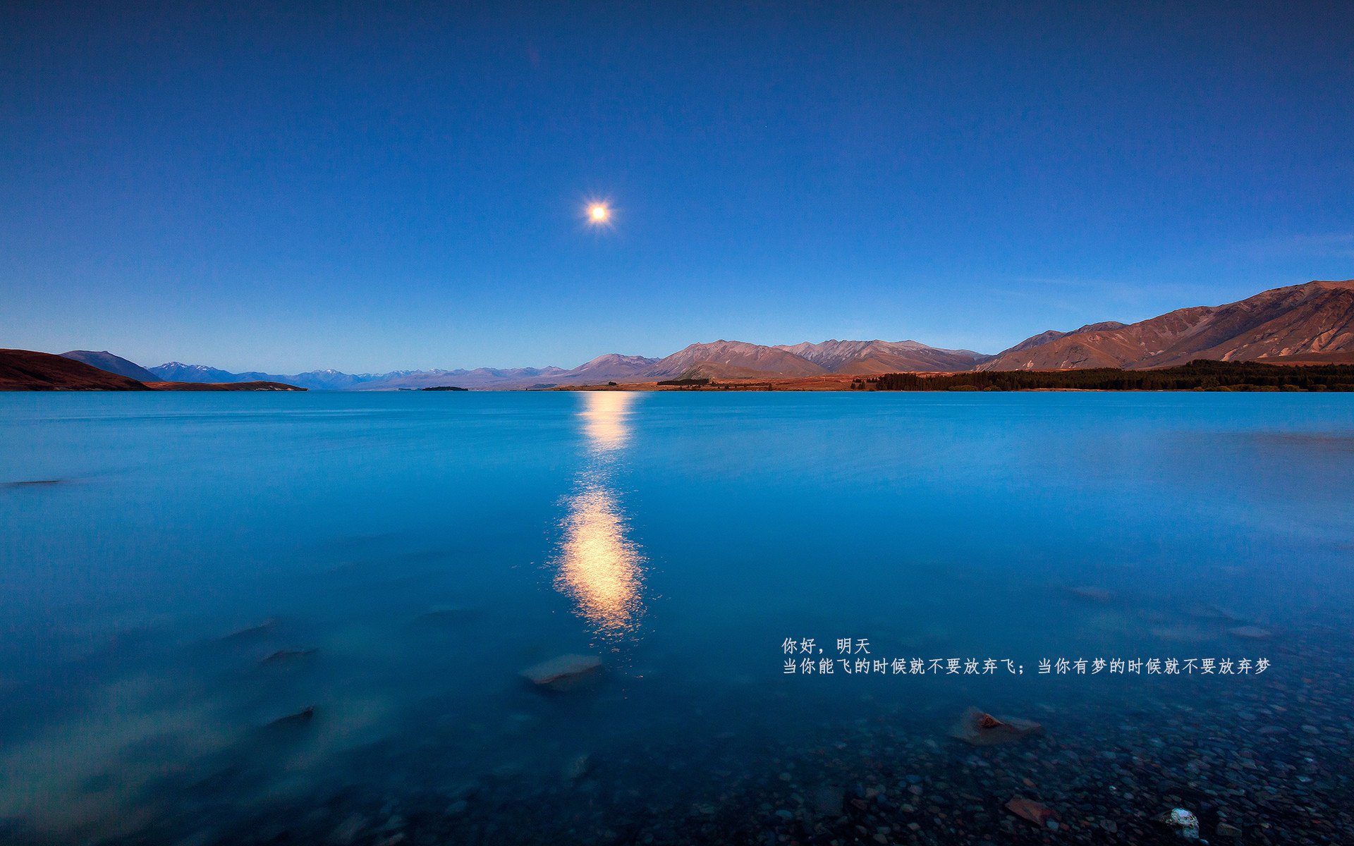 体育新闻中心支持体育科研成果图表化内容发布，体育科技文献通报