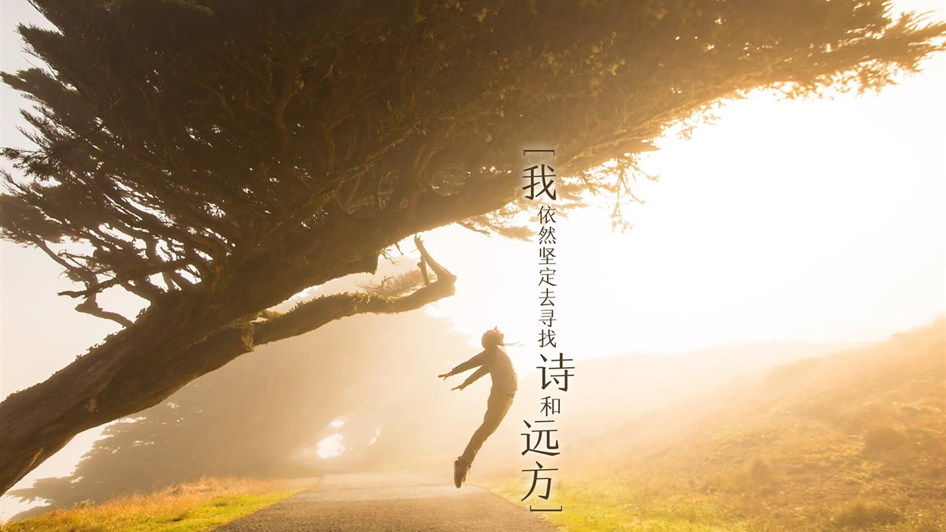 凯恩触发解约金，重返热刺迎来高薪新篇章，凯恩在热刺合同